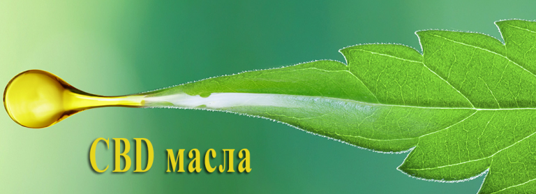 CBD масла и их свойства CBD масла и их свойства