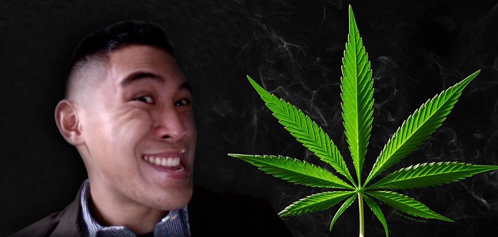 Марихуана южная корея вашингтон легализована марихуана