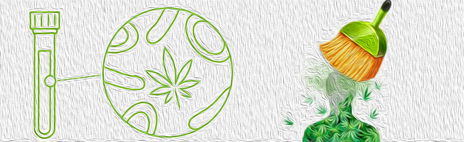 Как можно вывести из организма марихуану законна ли марихуана в россии