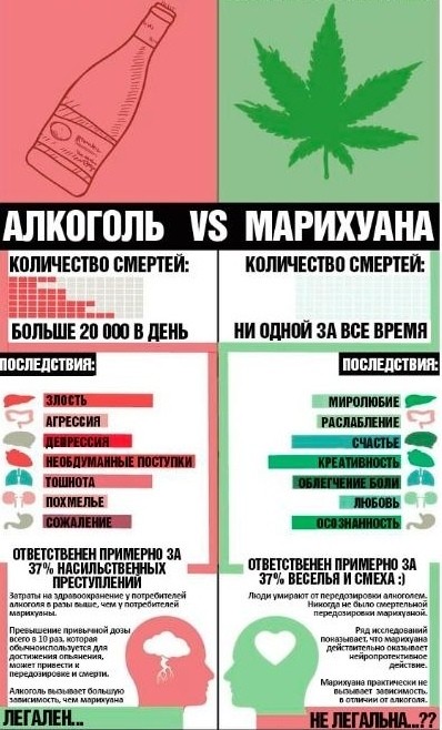 сравнение марихуана алкоголь