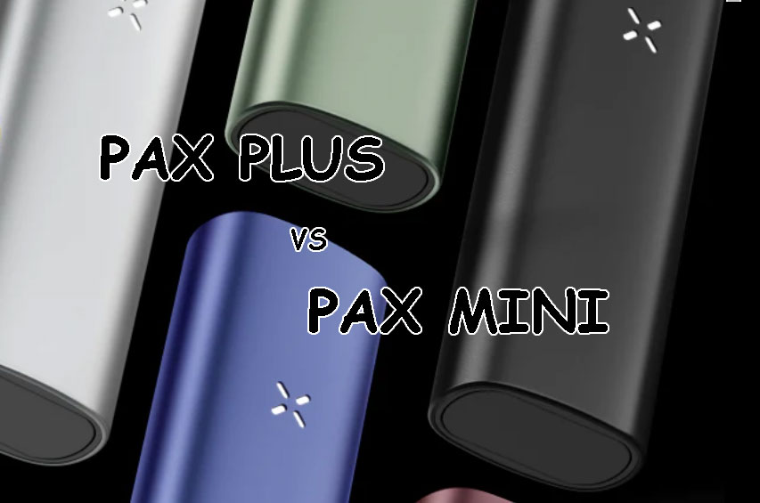 Pax Mini VS Pax Plus