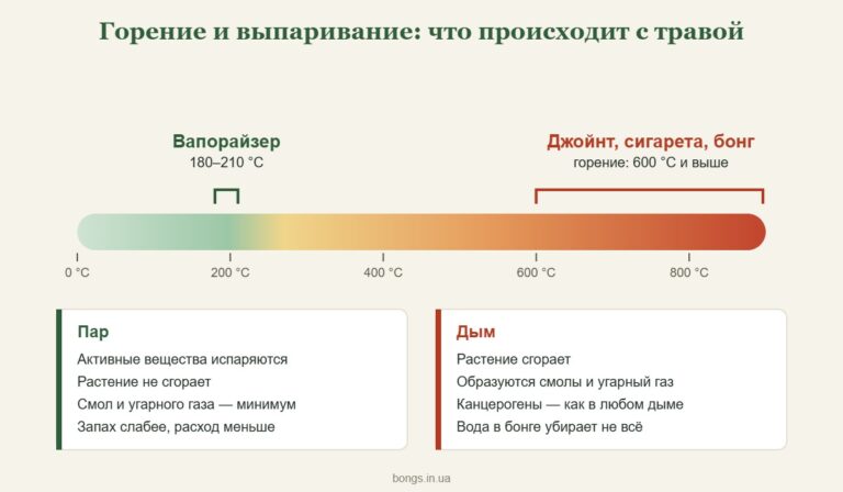 Каким должно быть освещение в гроубоксе? Что вреднее: трава или сигареты